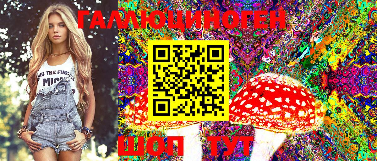 Псилоцибиновые грибы MAGIC MUSHROOMS  Псилоцибиновые грибы прущие грибы  Сафоново  Вход с VPN 